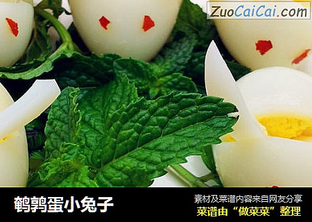 鹌鹑蛋小兔子