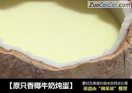 【原只香椰牛奶炖蛋】
