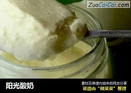阳光酸奶