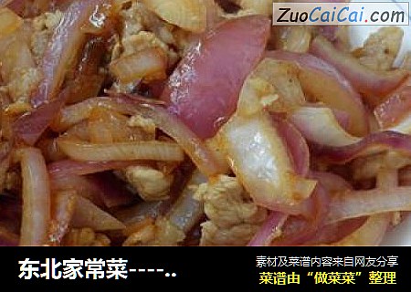 元葱炒肉