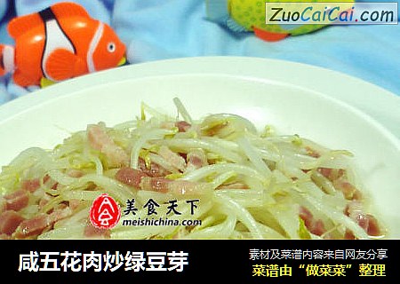 咸五花肉炒绿豆芽