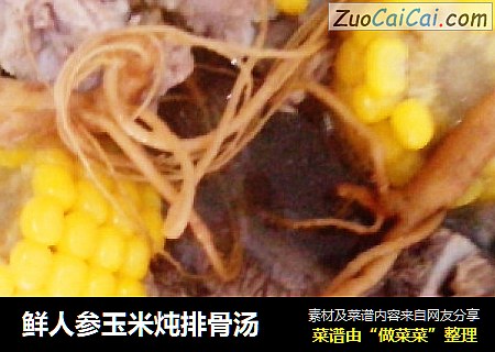 鲜人参玉米炖排骨汤