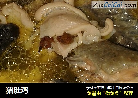 猪肚鸡