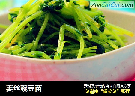姜丝豌豆苗