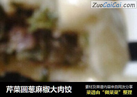 芹菜圆葱麻椒大肉饺