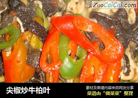 尖椒炒牛柏叶