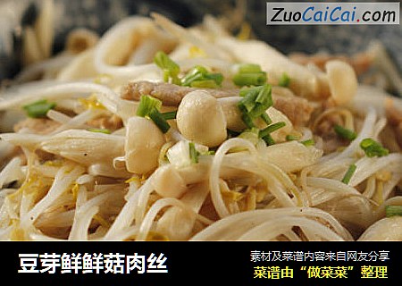 豆芽鲜鲜菇肉丝