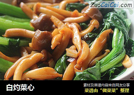 白灼菜心
