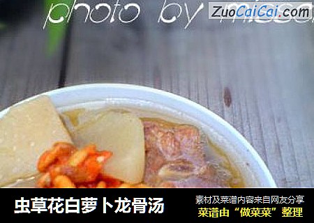 虫草花白萝卜龙骨汤