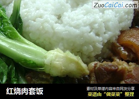红烧肉套饭