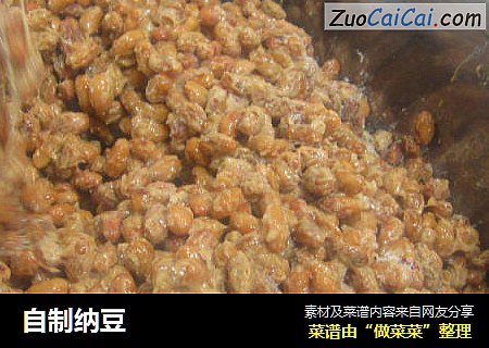 自制纳豆