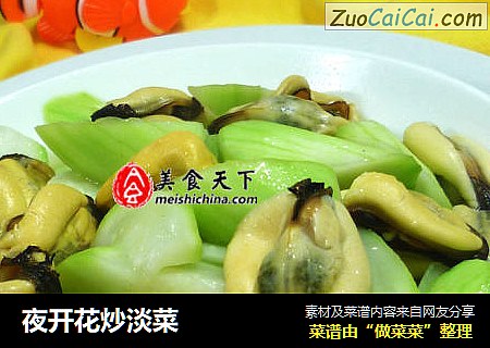 夜开花炒淡菜