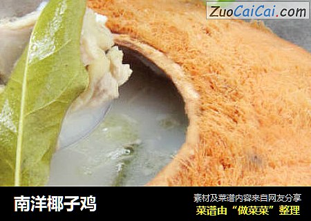 南洋椰子鸡