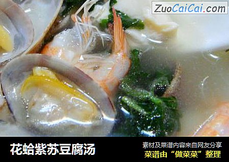 花蛤紫苏豆腐汤