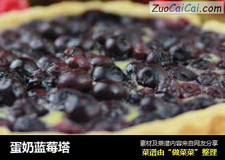 蛋奶蓝莓塔