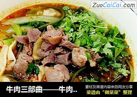 牛肉三部曲——牛肉烩面