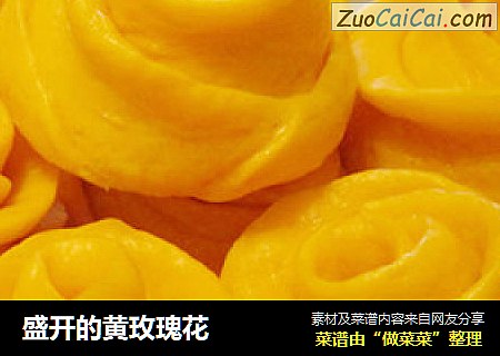 盛开的黄玫瑰花