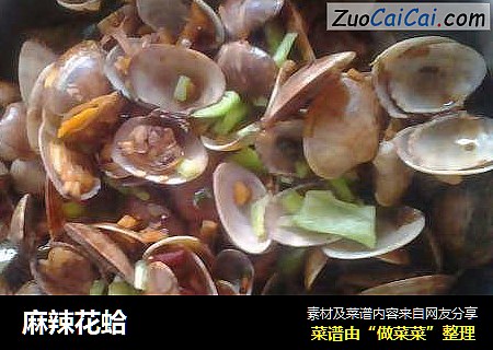 麻辣花蛤