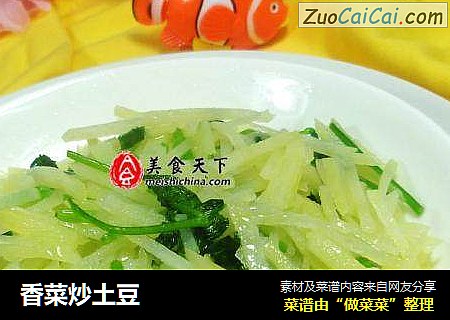香菜炒土豆