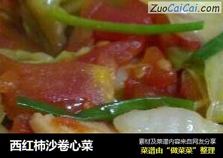 西红柿沙卷心菜