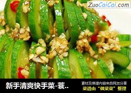 新手清爽快手菜-蓑衣黄瓜