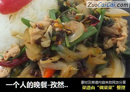 一个人的晚餐-孜然嫩肉盖饭
