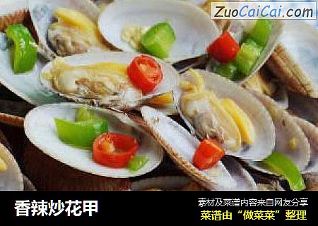 香辣炒花甲