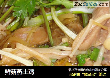 鲜菇蒸土鸡