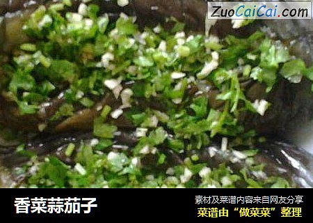 香菜蒜茄子