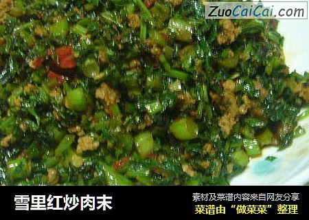 雪里红炒肉末