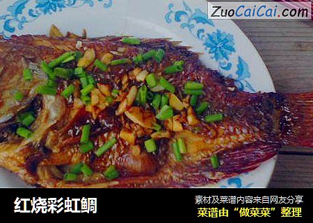 红烧彩虹鲷