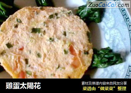 雞蛋太陽花