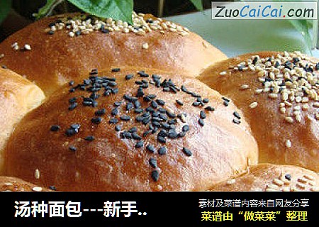 汤种面包---新手也能做拉丝面包