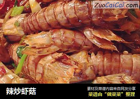 辣炒虾菇
