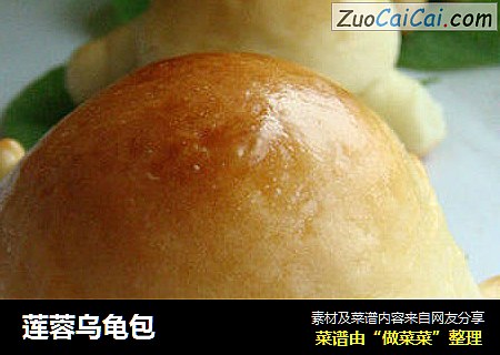 莲蓉乌龟包