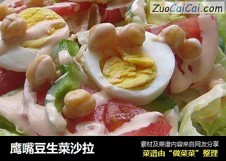 鹰嘴豆生菜沙拉