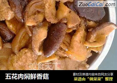 五花肉焖鲜香菇