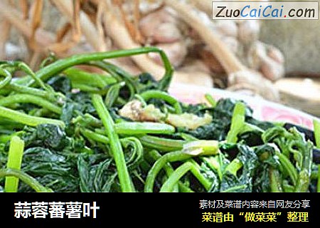 蒜蓉蕃薯叶