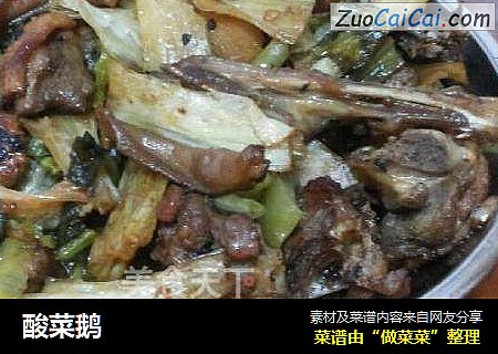 酸菜鹅