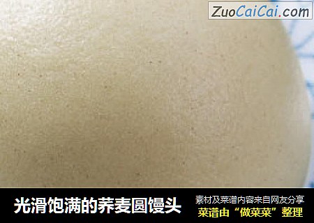 光滑饱满的荞麦圆馒头
