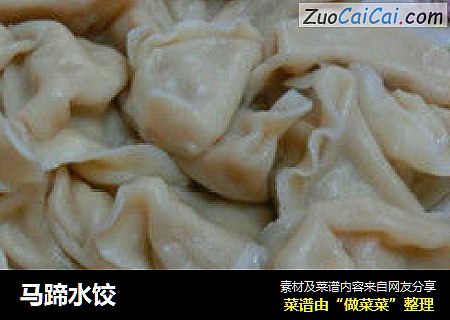 马蹄水饺