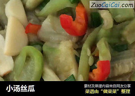 小汤丝瓜