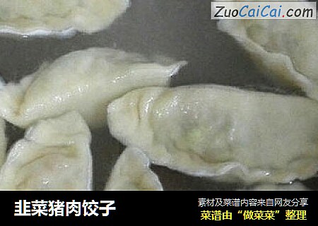 韭菜猪肉饺子