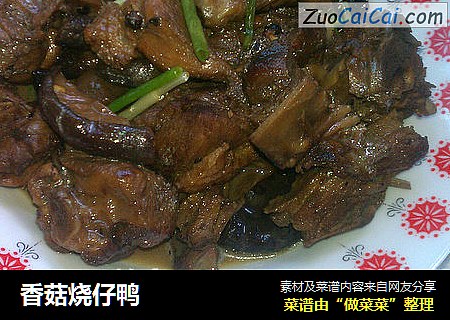 香菇烧仔鸭