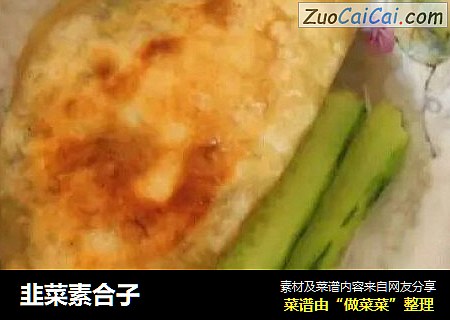 韭菜素合子