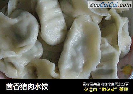 茴香猪肉水饺