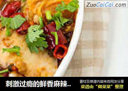 刺激过瘾的鲜香麻辣味——麻辣鱼片