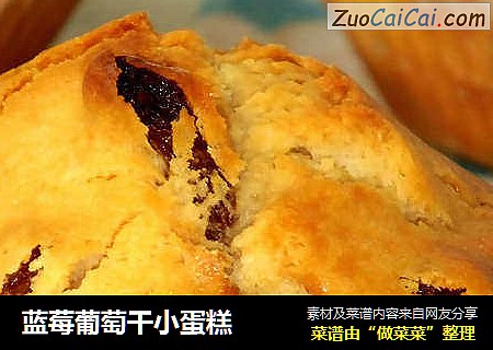 蓝莓葡萄干小蛋糕