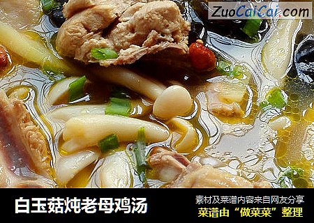 白玉菇炖老母鸡汤