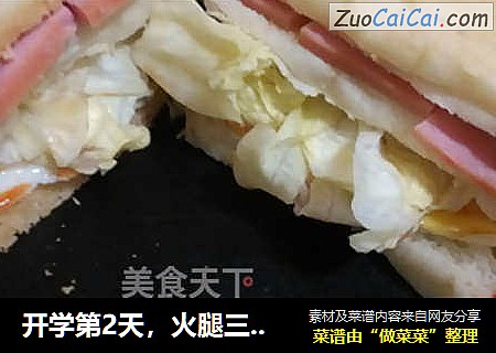 开学第2天，火腿三明治
